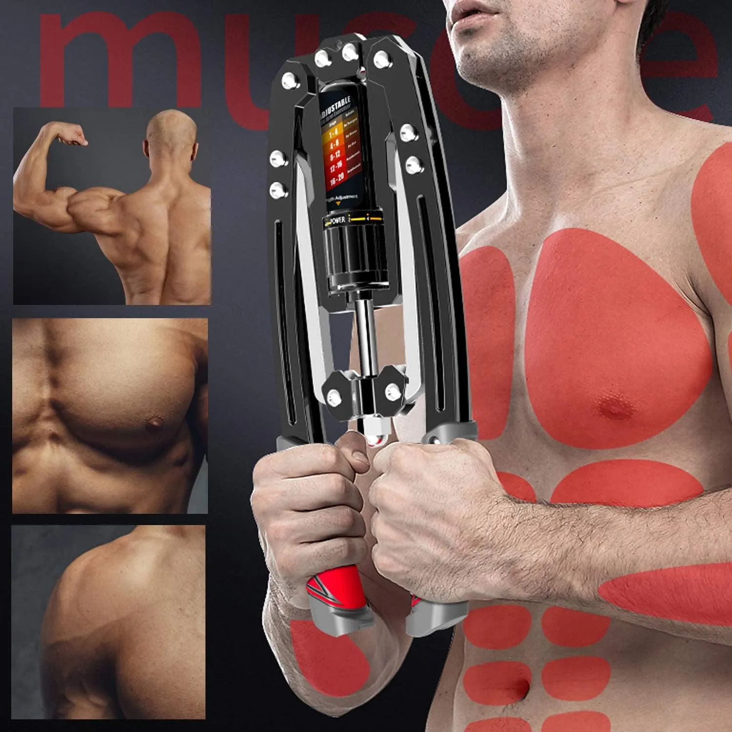 EAST MOUNT arm exerciser showing upper body muscle target areas