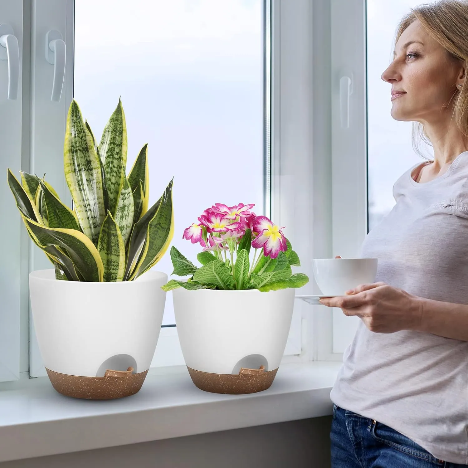 QRRICA self watering plant pots on a windowsill with indoor plants